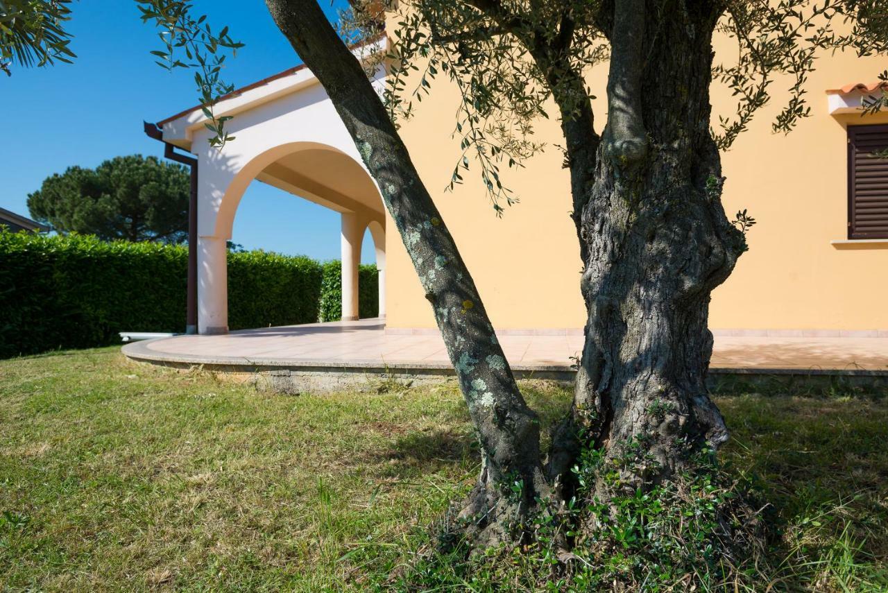 Apartments Villa Irena Пореч Экстерьер фото